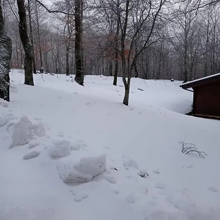 Villaggio Anemone - Mirtillo *