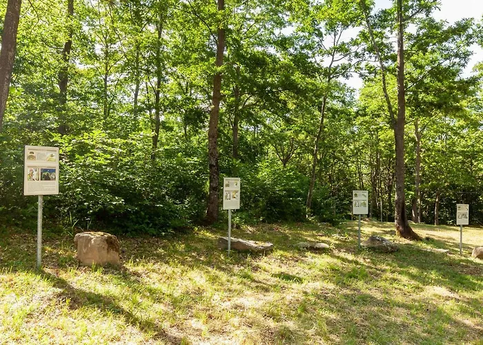 Ferienhaus Villaggio Anemone - Mirtillo *