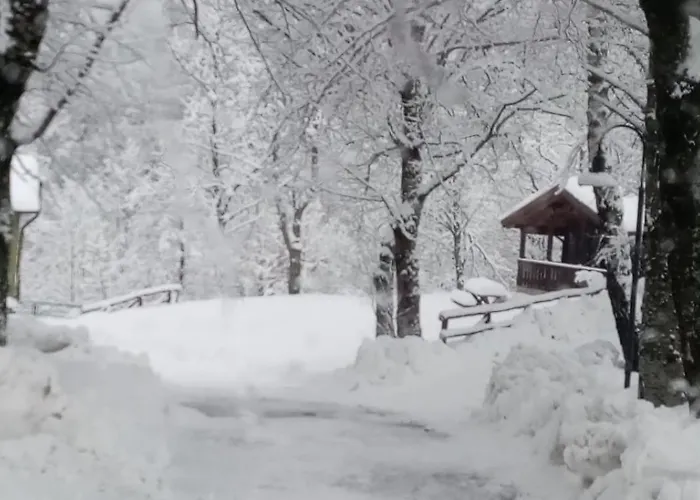 Villaggio Anemone - Mirtillo Capanne di Sillano